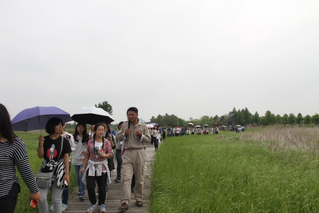 跟着讲解员参观东滩湿地公园：扬子鳄生活区