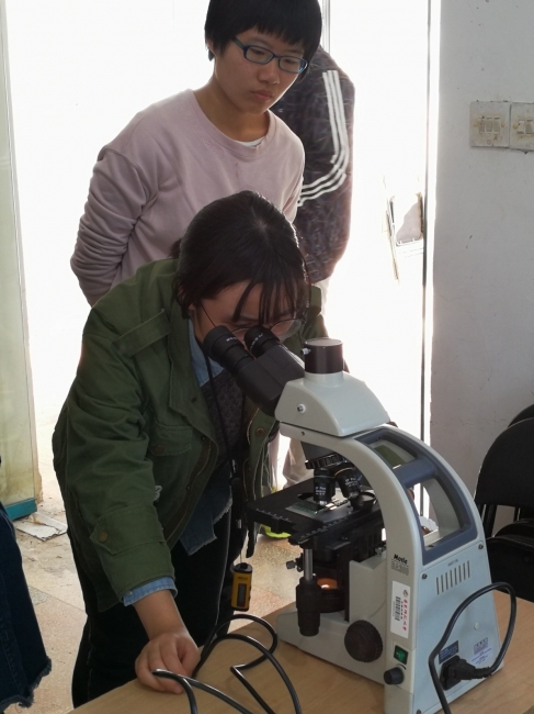 学生正在用显微镜观察浮游生物