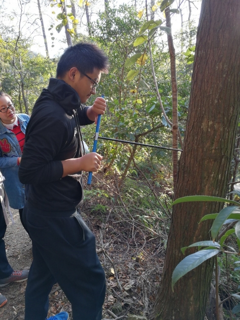 学生用年轮钻采集年轮芯