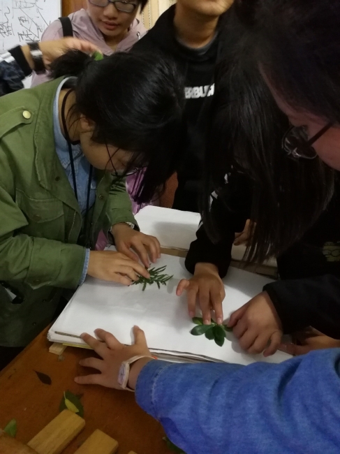 傍晚学生正在学习如何压制植物标本