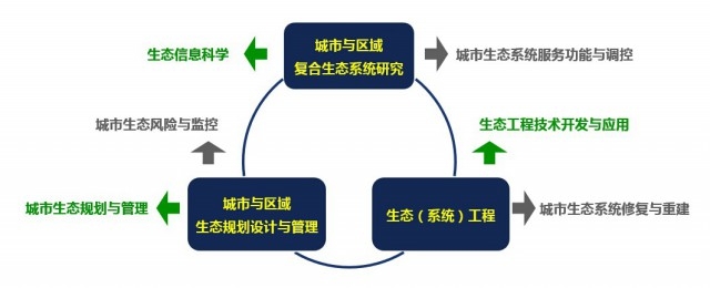 4 研究领域及方向 (2)