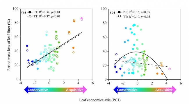 Invertebrate phenology modulates the effect of the leaf economics spectrum-2